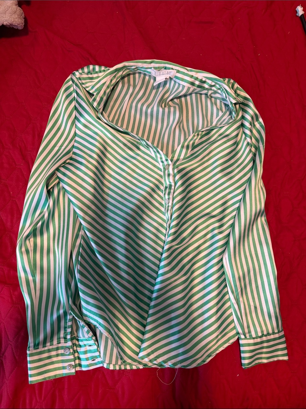 Striped Green and White Women's Button-Front Blouse